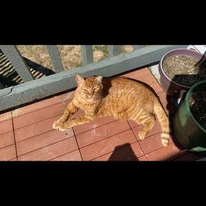 Meet your Posher, Helen